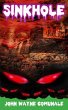 Sinkhole - Bild 1