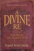 A Divine Re: The More Excellent Way