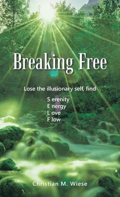 Breaking Free - Wiese, Christian M.