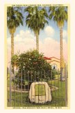 The Vintage Journal Parent Orange Tree, Riverside, California