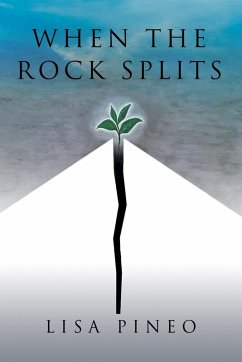 Cover When the Rock Splits