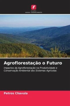 Agroflorestação o Futuro - Chavula, Petros