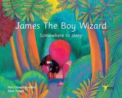 James The Boy Wizard: Somewhere to sleep - Gonzalez, Mari Carmen