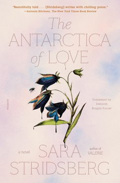 The Antarctica of Love - Stridsberg, Sara