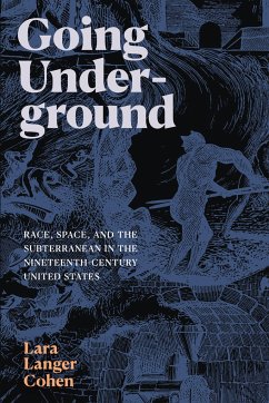 Going Underground - Cohen, Lara Langer