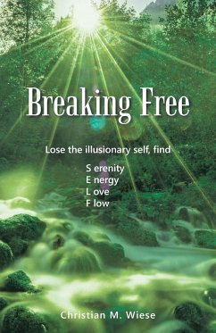 Breaking Free - Wiese, Christian M.