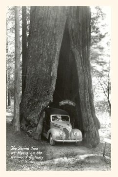 The Vintage Journal Car Driving through Redwood