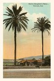 The Vintage Journal Native Daughter's Palms, Ventura California