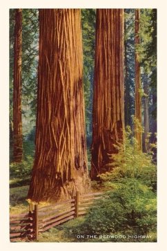 The Vintage Journal Giant Redwoods