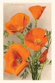 The Vintage Journal California Poppies
