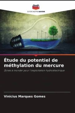 Étude du potentiel de méthylation du mercure - Marques Gomes, Vinícius