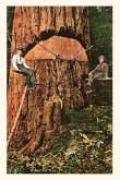 Vintage Journal Giant Fir Tree