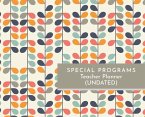 Special Programs Teacher Planner