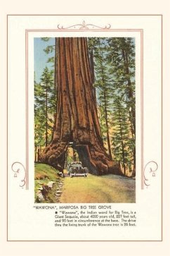 The Vintage Journal Wawona, Mariposa Big Tree Grove