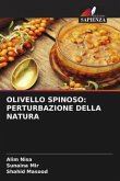 OLIVELLO SPINOSO: PERTURBAZIONE DELLA NATURA