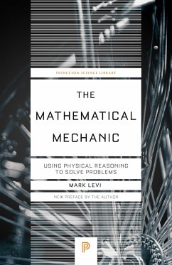 The Mathematical Mechanic - Levi, Mark