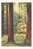 The Vintage Journal Redwoods Scene with People and Deer