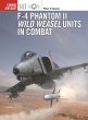 F-4 Phantom II Wild Weasel Units in... - Bild 1