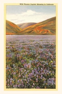 The Vintage Journal Wildflowers in California