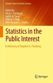 Statistics in the Public Interest (eBook, PDF)