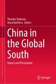 China in the Global South (eBook, PDF)