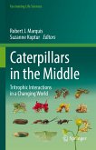 Caterpillars in the Middle (eBook, PDF)