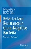 Beta-Lactam Resistance in Gram-Negative Bacteria (eBook, PDF)