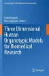 Three Dimensional Human Organotypic... - Bild 1