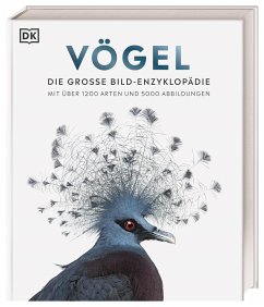 Vögel