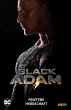 Black Adam: Finstere Herrschaft - Bild 1