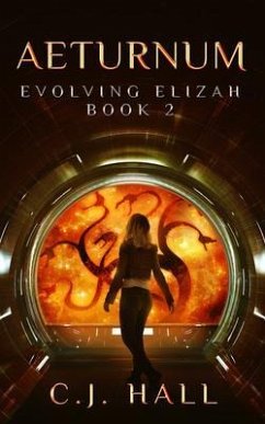 Cover Aeturnum (eBook, ePUB)