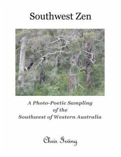 Cover Southwest Zen (eBook, ePUB)