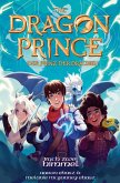 Dragon Prince - Der Prinz der Drachen Buch 2: Himmel (Roman) (eBook, ePUB)