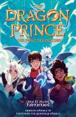 Dragon Prince – Der Prinz der Drachen Buch 2: Himmel (Roman) (eBook, ePUB)