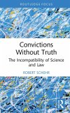 Convictions Without Truth (eBook, ePUB)
