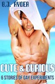 Cute and Curious Six Stories of Gay Experiments (eBook, ePUB) Cute and Curious Six Stories of Gay Experiments (eBook, ePUB)