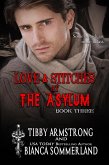 Love & Stitches at The Asylum Fight Club Book 3 (eBook, ePUB)