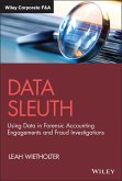 Data Sleuth (eBook, ePUB)
