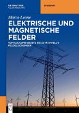 Elektrische und magnetische Felder (eBook, ePUB)