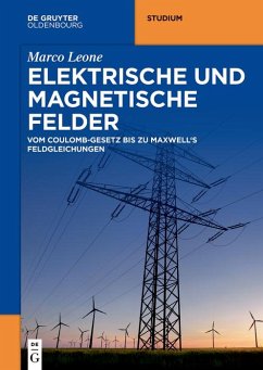 Elektrische und magnetische Felder (eBook, ePUB) - Leone, Marco