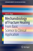 Mechanobiology of Fracture Healing (eBook, PDF)