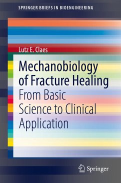 Mechanobiology of Fracture Healing (eBook, PDF) - Claes, Lutz E.