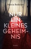 Nur ein kleines Geheimnis (eBook, ePUB)