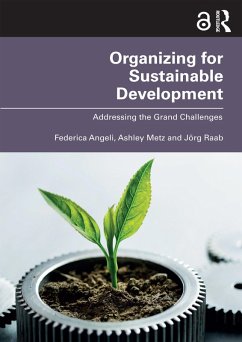 Organizing for Sustainable Development (eBook, ePUB) - Angeli, Federica; Metz, Ashley; Raab, Jörg