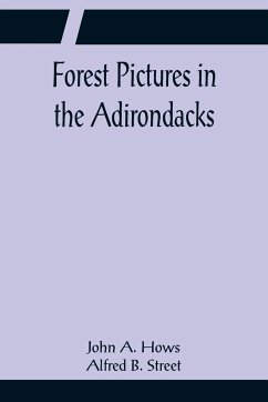 Forest Pictures in the Adirondacks - A. Hows Alfred B. Street, John