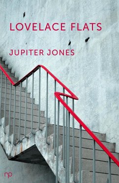 Lovelace Flats (eBook, ePUB) - Jones, Jupiter