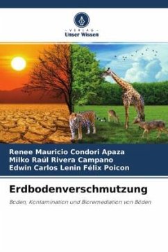 Erdbodenverschmutzung - Condori Apaza, Renee Mauricio;Rivera Campano, Milko Raúl;FELIX POICON, EDWIN CARLOS LENIN