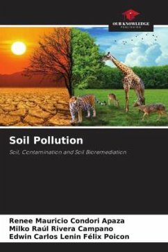 Soil Pollution - Condori Apaza, Renee Mauricio;Rivera Campano, Milko Raúl;FELIX POICON, EDWIN CARLOS LENIN
