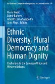 Ethnic Diversity, Plural Democracy and Human Dignity (eBook, PDF)