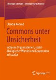 Commons unter Unsicherheit (eBook, PDF)